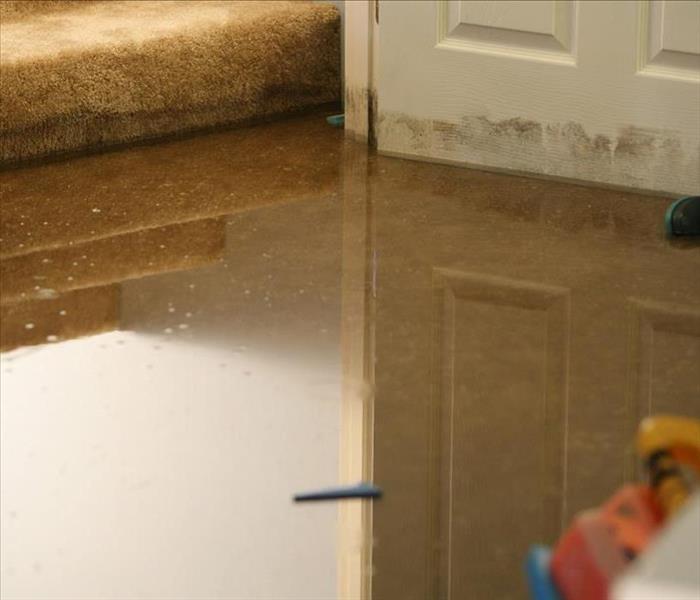Standing water on the floor with debris on the floor and a doorway at the bottom of a stairway.